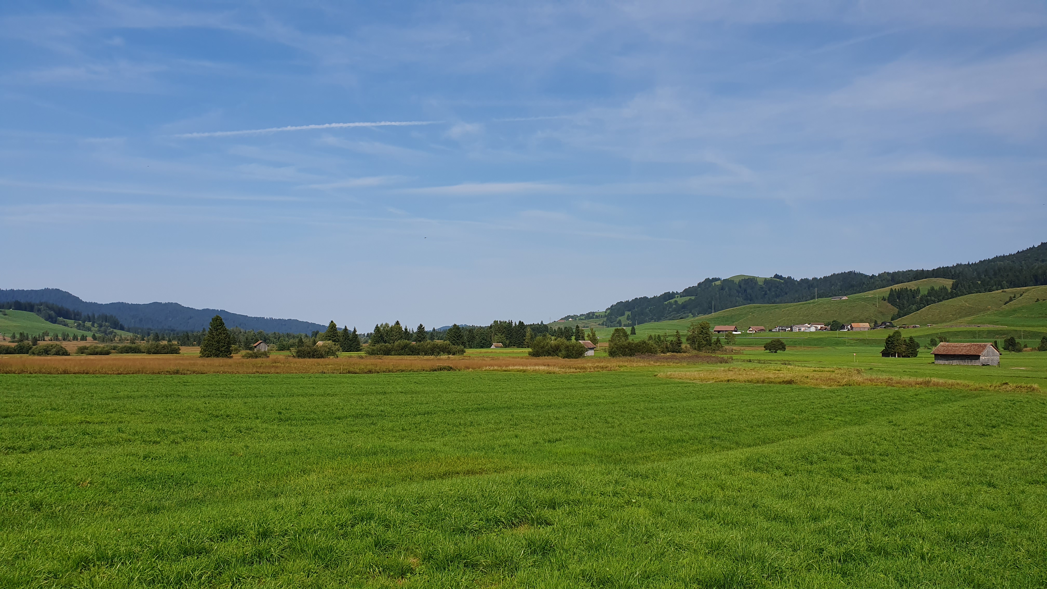 Rothenthurm-Moor bei Altmatt – ruhiges Strässchen durch das Feuchtgebiet