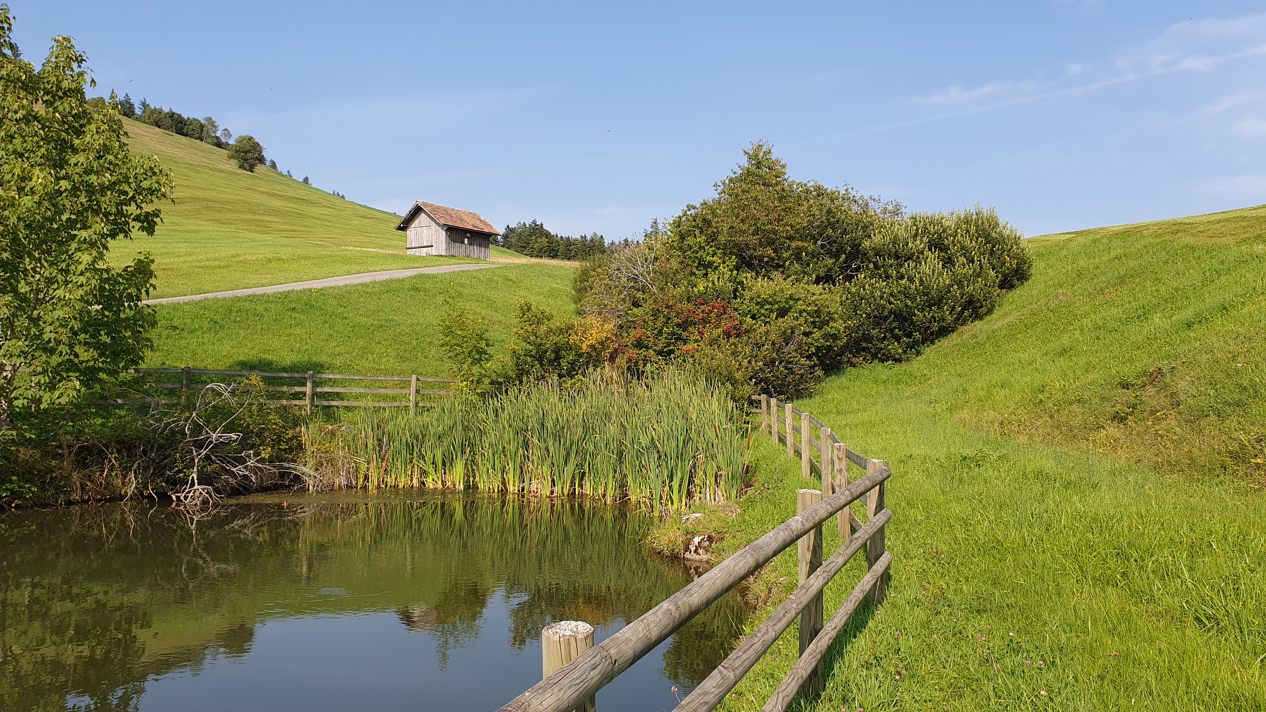 Herbstzeitlose am Wegesrand – Zentralschweiz, Rennradtour mit Naturmomenten
