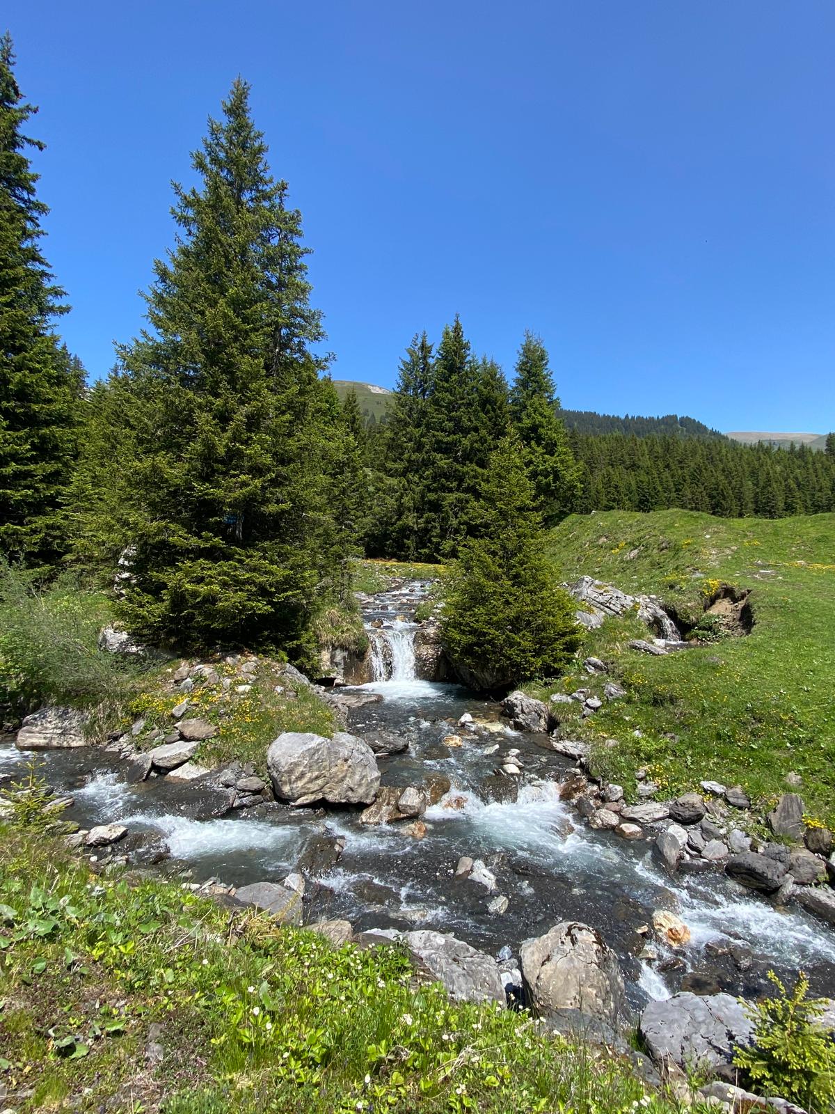 Bachlauf bei der Schwandalp – kurze Pause auf der Tour zur Grossen Scheidegg