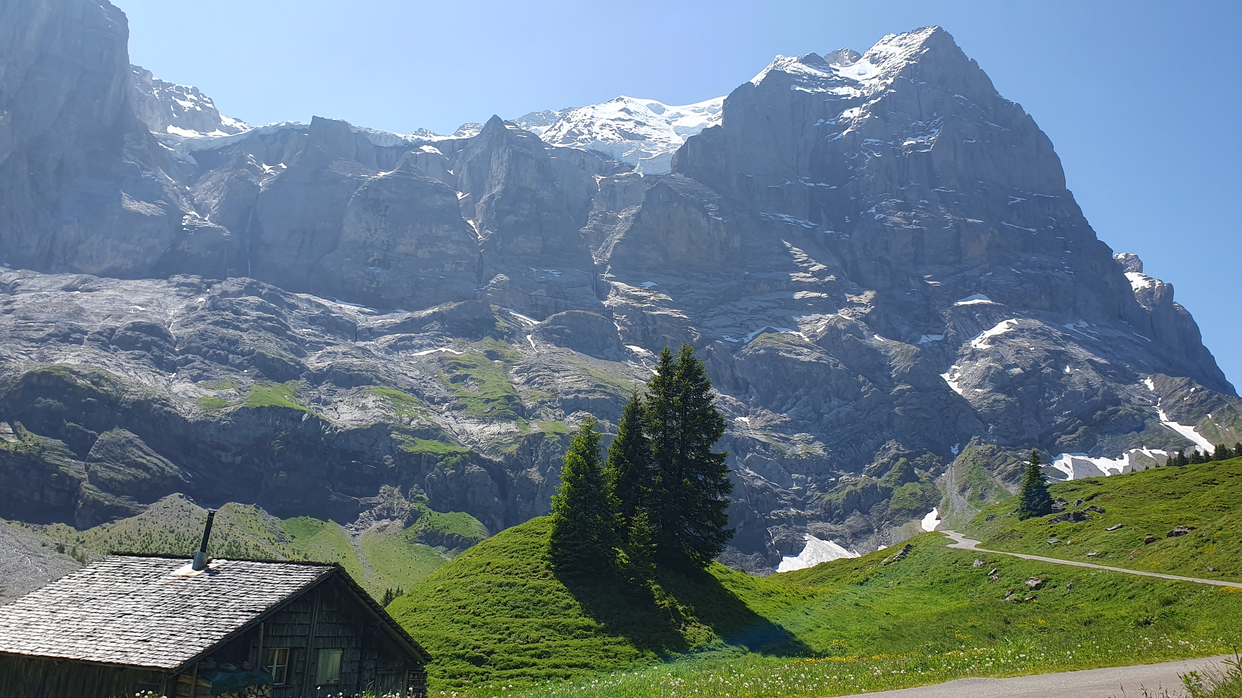 Schwandalp: Blick zum Wetterhorn und Rosenhorn-Gletscher auf der Rennradtour Meiringen – Grosse Scheidegg