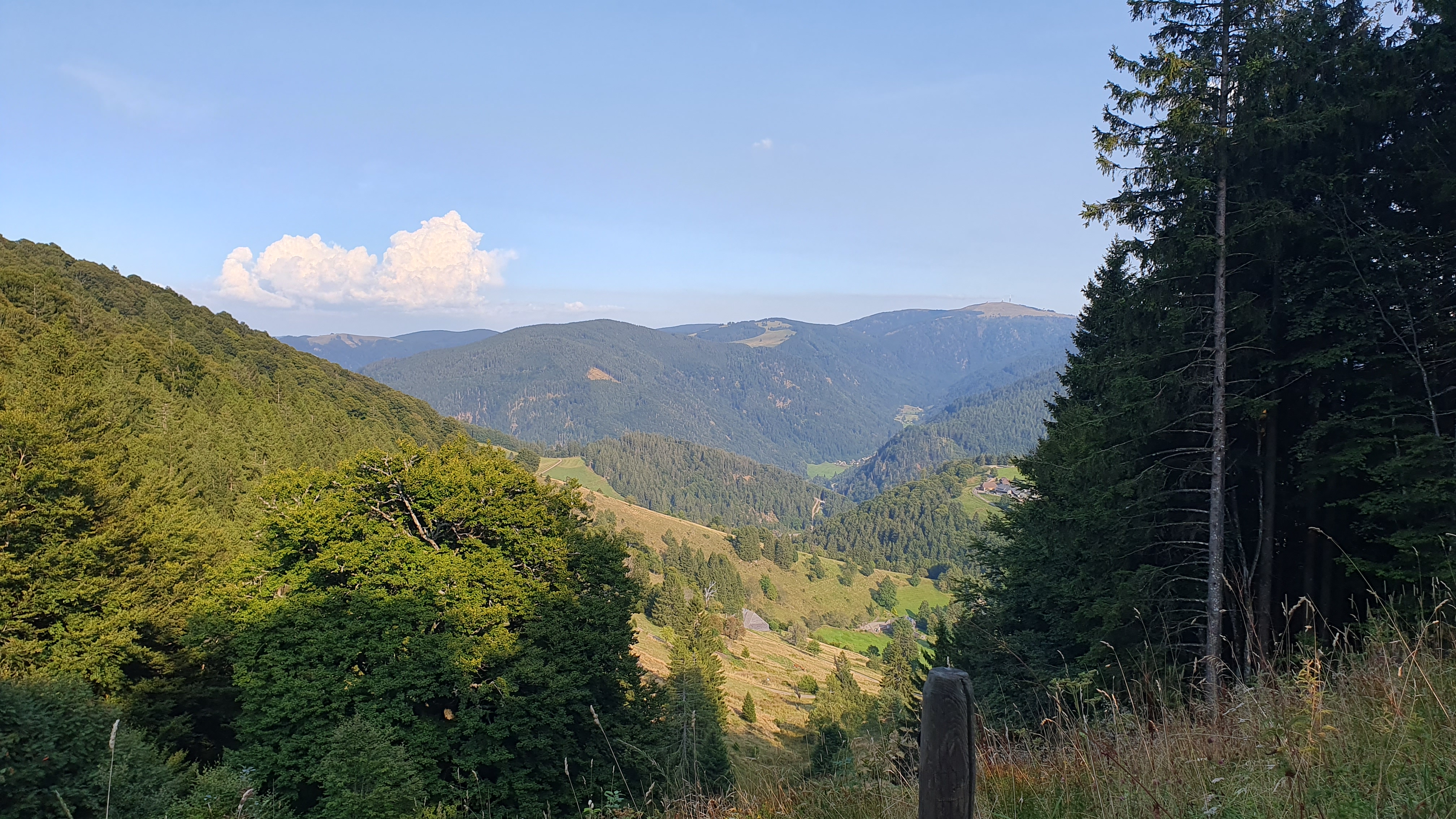 Aussicht vom Schauinsland