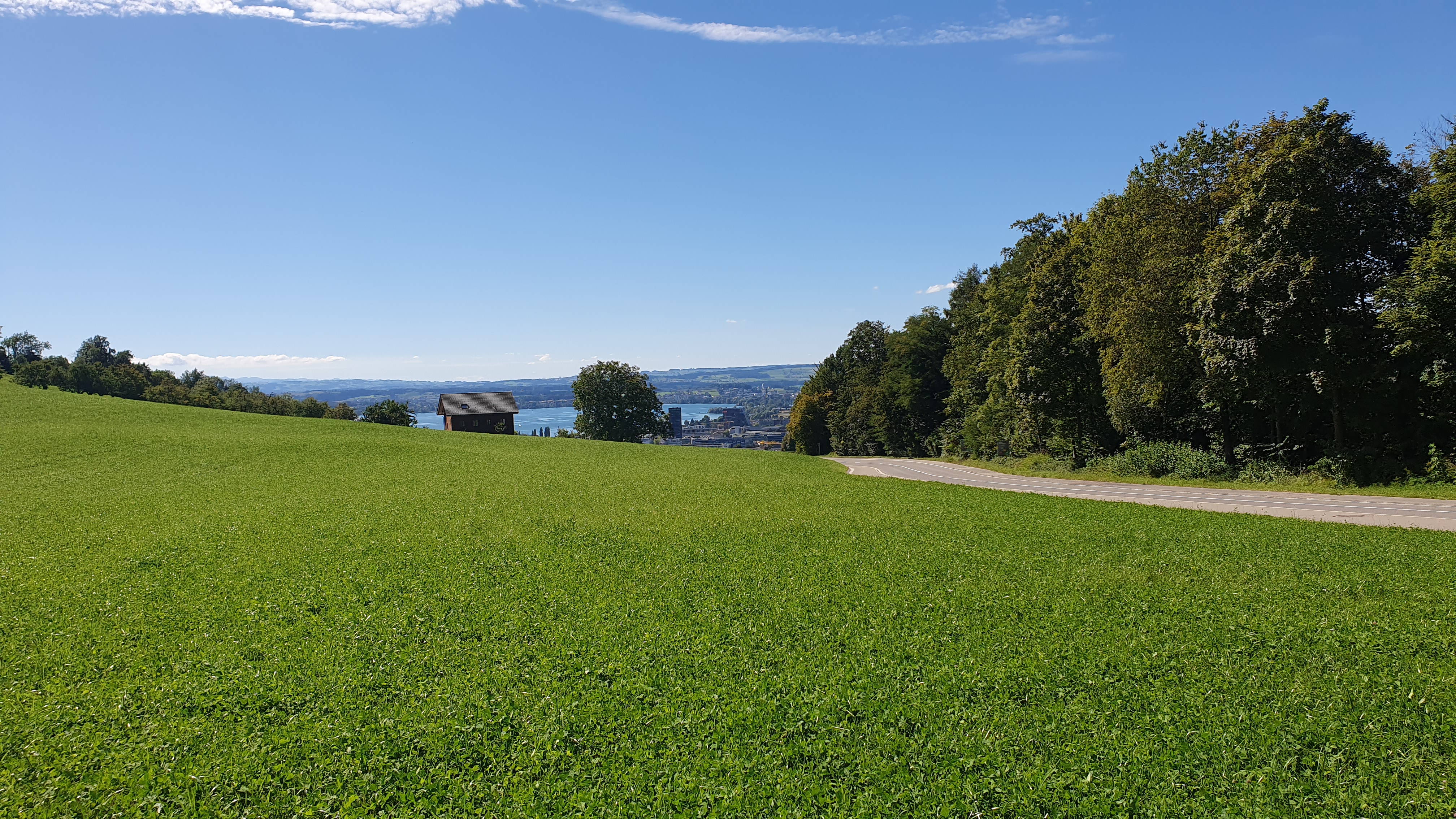 Panoramablick auf die Stadt Zug und den Zugersee vom Anstieg Richtung Allenwinden