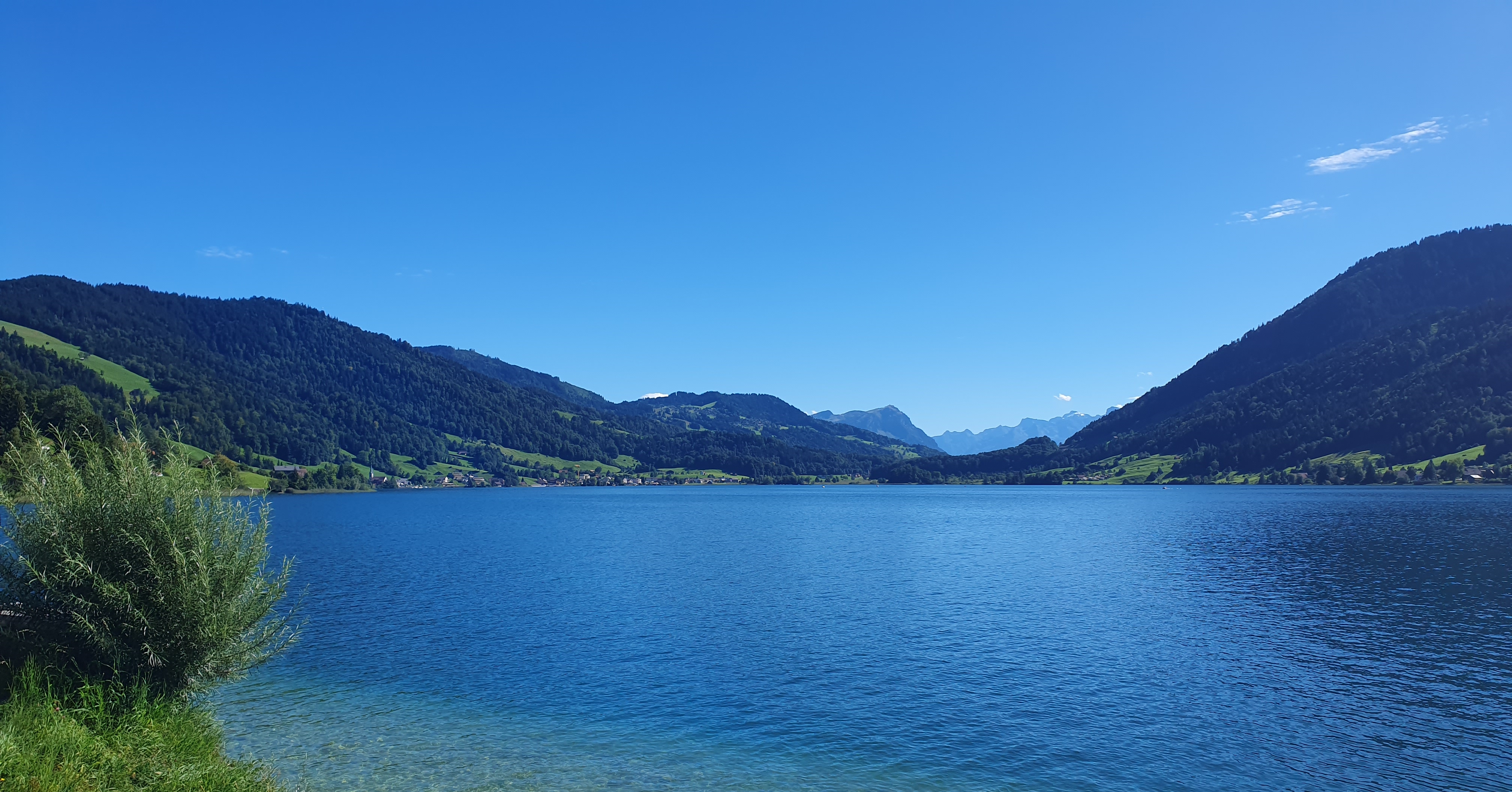 Blick über den Ägerisee bei Traumwetter während der Rennradtour Brunnen–Allenwinden–Ägeri