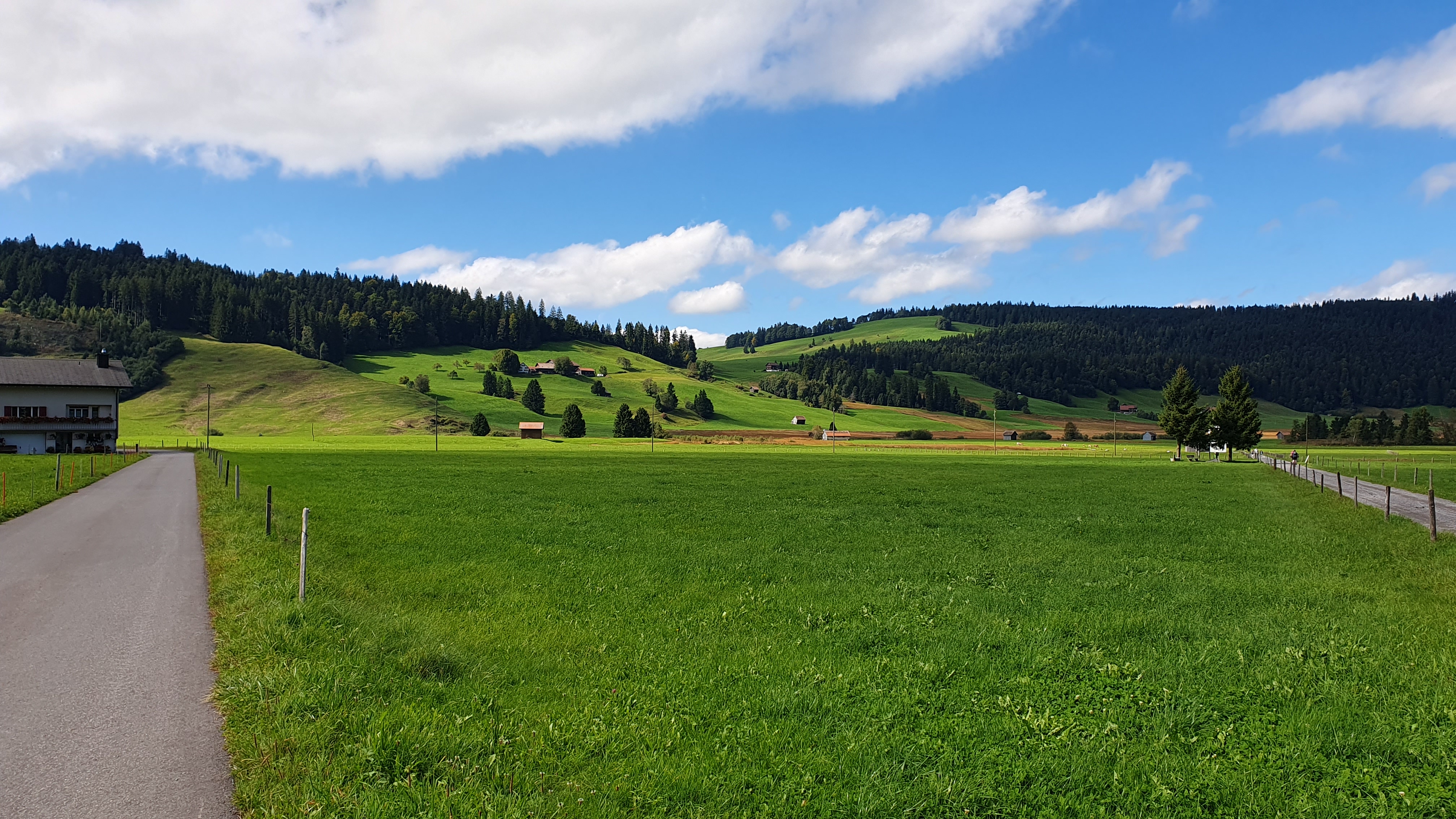 Flaches Ägeriried bei Rothenthurm – Rennradtour Zentralschweiz