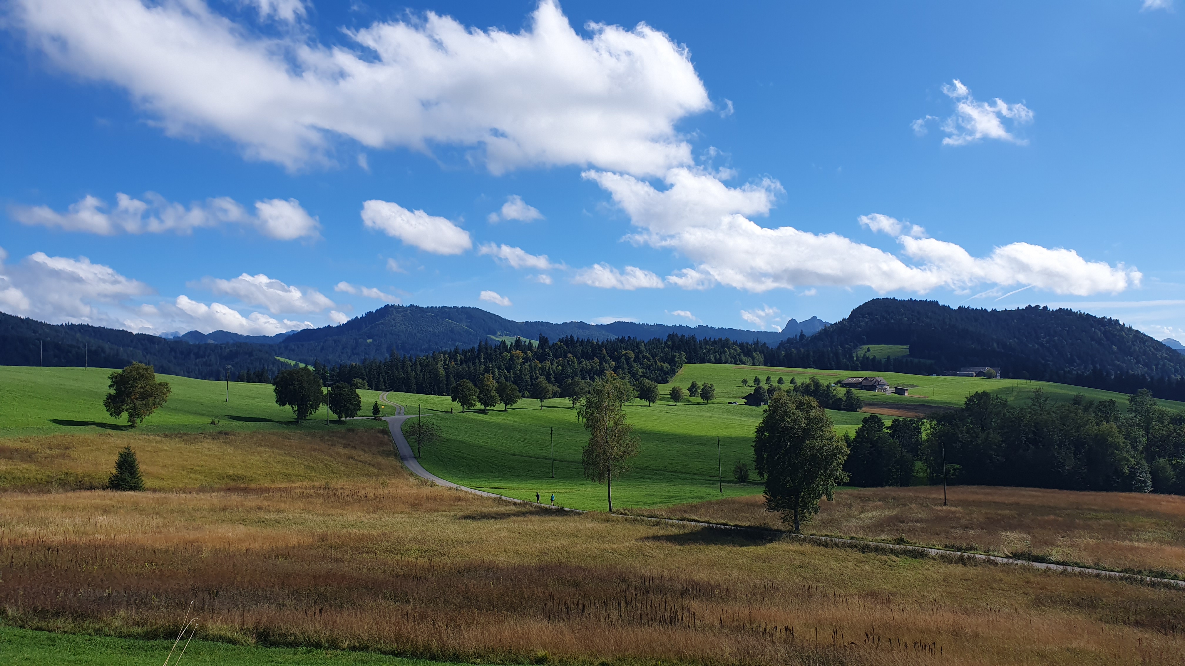 Blick bei Böschi zurück zu den Gipfeln bei Rothenthurm – herbstlich klar